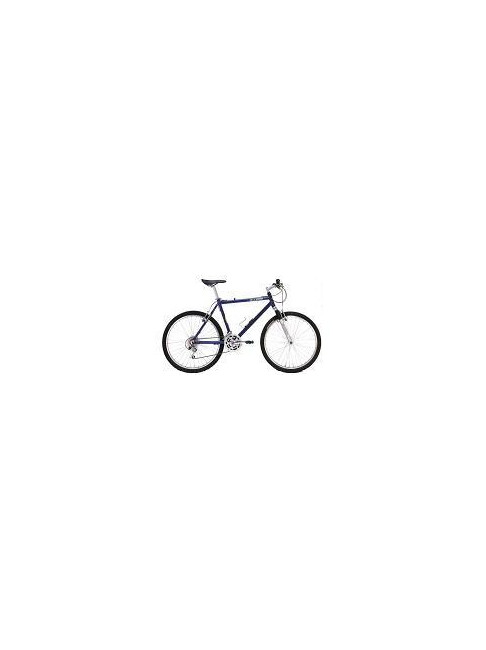 Bicicleta paseo